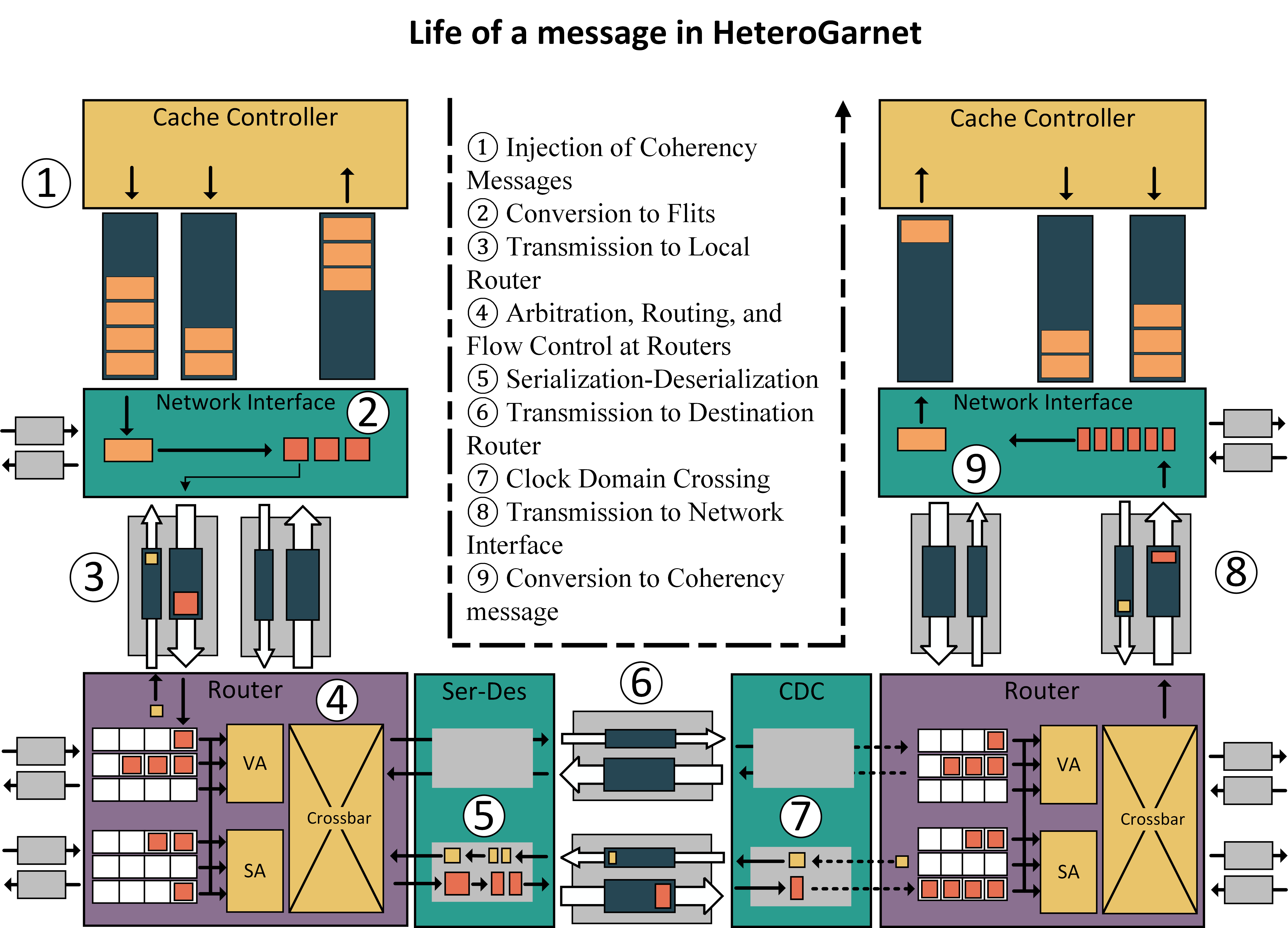 HeteroGarnet_Life.png